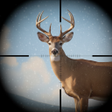 Icon des Programms: Trophy Hunter – Hunting G…