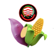 Icono de programa: KP3K