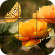 Ikona programu: Butterfly Jigsaw Puzzles