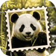 Icon of program: Jigsolit…