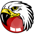 Icono de programa: BlackHawk Web Browser