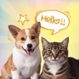 Icon des Programms: Dog  Cat Funny Translator