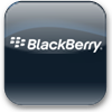 Icon des Programms: BlackBerry Desktop Manage…