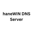 Icône du programme : haneWIN DNS Server