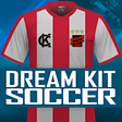 プログラムのアイコン: Dream Kit Soccer v2.0