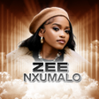 Icon des Programms: Zee Nxumalo All Songs