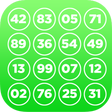 程序图标: My Lottery App