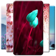 Icon of program: Spring Wallpaper