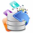 Icon des Programms: DataRescueProfessional