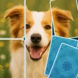 プログラムのアイコン: Pic Solitaire
