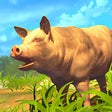 プログラムのアイコン: Pig Strike Simulator Game…