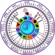 プログラムのアイコン: Pregnancy Wheel