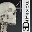 プログラムのアイコン: Essential Skeleton 4