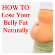 程序图标: Lose Belly Fat Naturally
