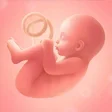 Ikona programu: Pregnancy…