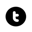 Icon of program: MetroTwit