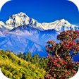 Ikona programu: Nepal Live Wallpaper