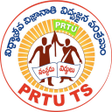 Icon des Programms: PRTU TS