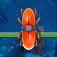 Icon des Programms: Beetle Parking Match