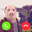Icon des Programms: John Pork In Video Call