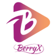 Icône du programme : BerryX