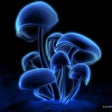 Icona del programma: 3D Wallpaper