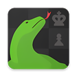 Icon des Programms: Komodo 13 Chess Engine