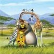 プログラムのアイコン: Madagascar 2