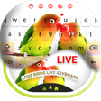 プログラムのアイコン: Love Birds Live Keyboard