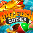 程序图标: Big Fish Catcher