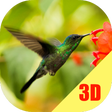 Icon des Programms: Birds Flying Live Wallpap…