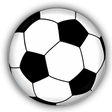 プログラムのアイコン: Bygfoot Football Manager