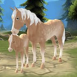 Ikona programu: Horse Par…