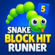 プログラムのアイコン: Snake Block Hit Runner