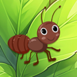 Ikona programu: Ant Maestro