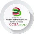 Icon of program: COBAEM
