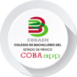 Icon of program: COBAEM