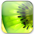 程序图标: Kiwi application monitor