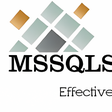 Icône du programme : MSSQLServerAuditor