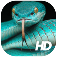 Ikona programu: Snake Wallpaper HD