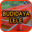 Icona del programma: Budidaya Ikan Lele Terpal