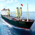 程序图标: Ship Games Simulator Pro