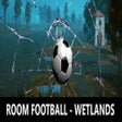 Icon des Programms: ROOM FOOTBALL - Wetlands