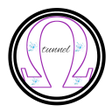 プログラムのアイコン: Omega Tunnel