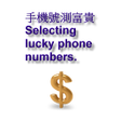 Icône du programme : Lucky phone number[trial]
