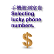 Icon des Programms: Lucky phone number[trial]