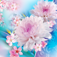 Icon des Programms: Flowers Live Wallpaper