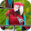Icon des Programms: JigPic World Journey