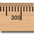 プログラムのアイコン: A Ruler for Windows