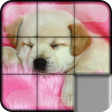 Icono de programa: Sliding Puzzle Dogs